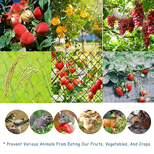 25*50\' Bird Netting with 2.4” Square Mesh, Reusable Bird Netting for Vegetables Fruit Trees Protection, Heavy Duty Garden Netting for Chicken Coop/ Poultry/ Aviary/ Pens (10 Ground Nails + 50 Ties)