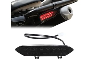 LUXEMOTO LED Tail Light for Yamaha Raptor 700 700R, Smoked Black Brake Light Taillight for Yamaha Raptor 700R 700 2006-2018 /