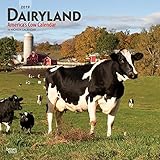 Dairyland America's Cow 2019 12 x 12 Inch Monthly Square Wall Calendar, American Dairy Domestic Farm by 