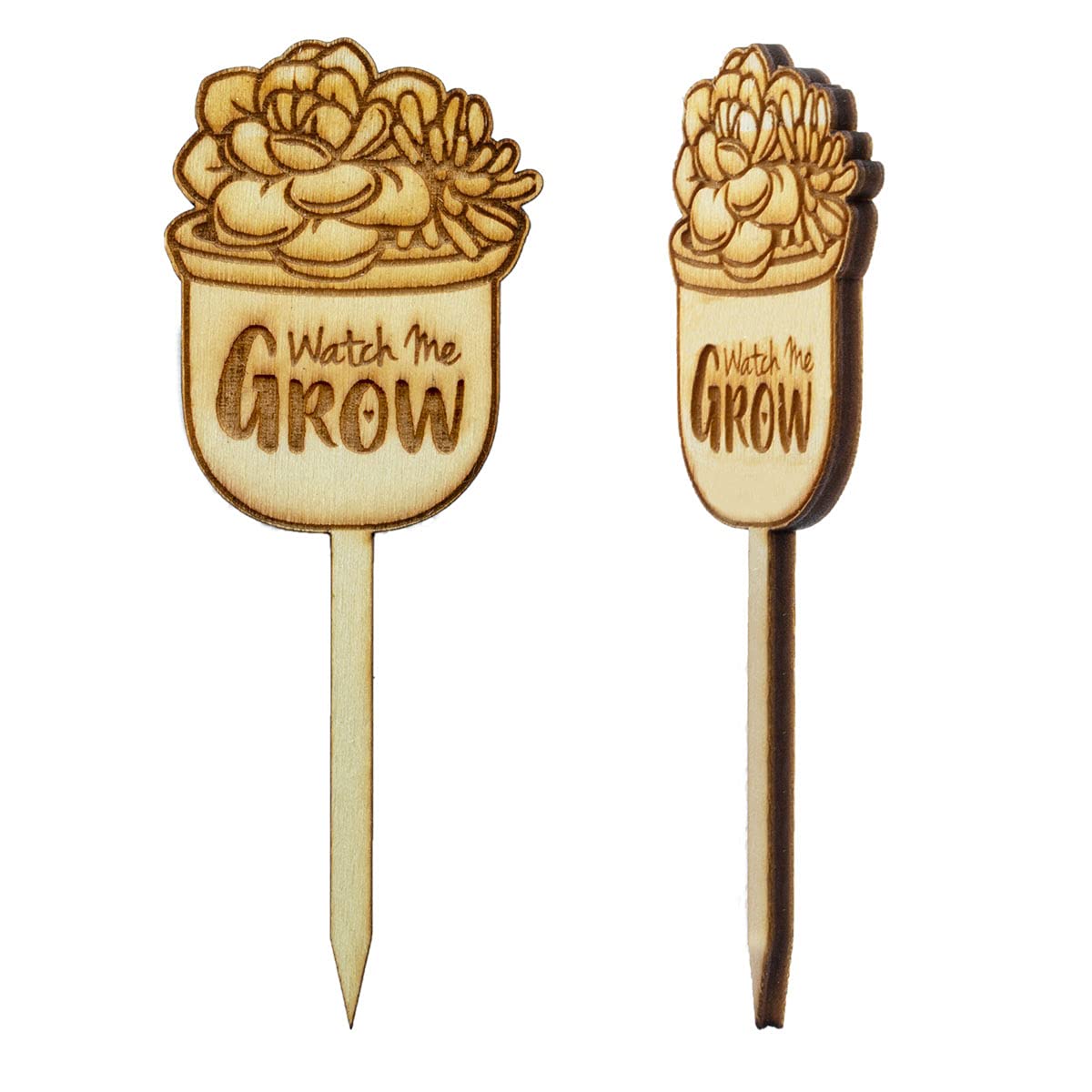 Summer-Ray 50pcs Mini Wooden Watch Me Grow Signs for Baby Shower Cactus/Succulent Favour (Succulents)