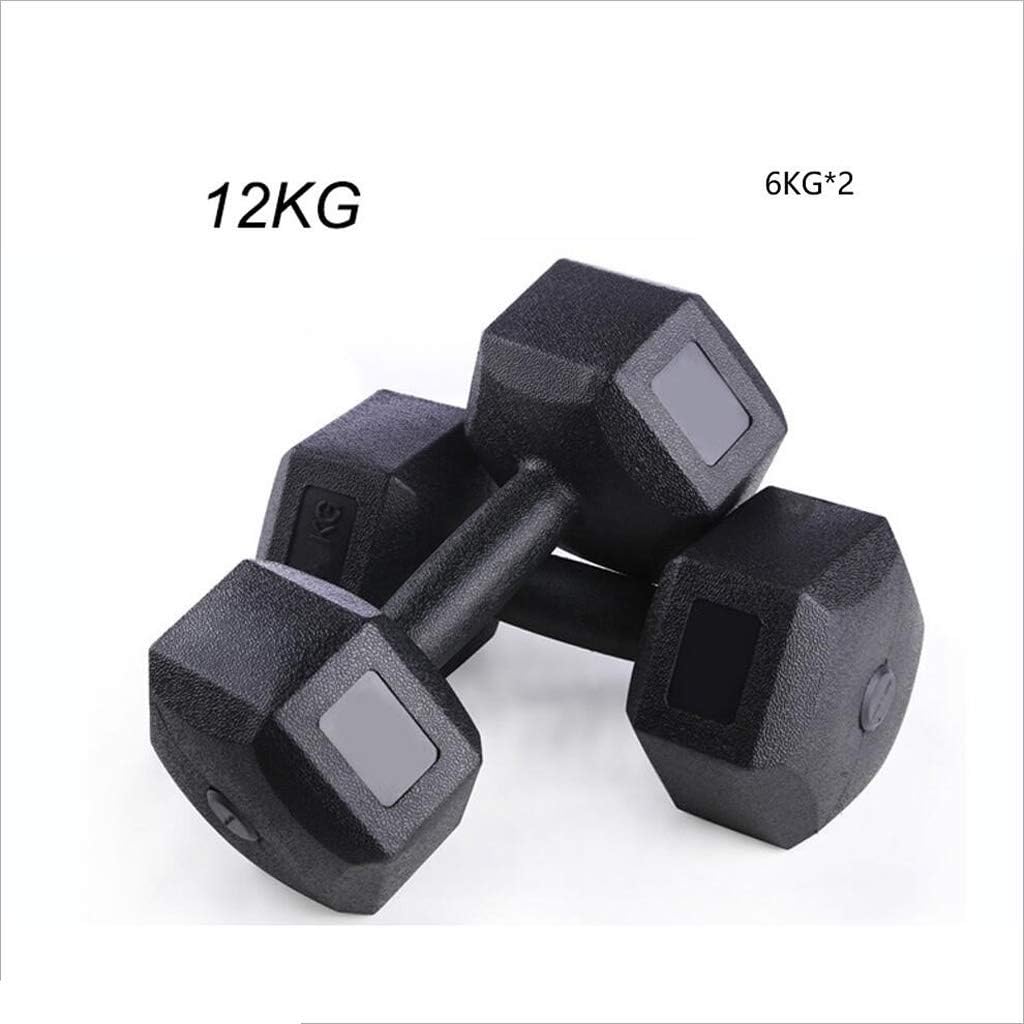 AILI Dumbbell Dumbbells Hex Dumbbell Free Weight Rubber Coated Black Pair Dumbbell Exercise Arm Muscle Home Fitness Equipment 12kg Dumbbell Dumbbells Exercise & Fitness