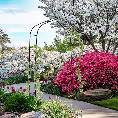 Relaxdays Rankbogen Metall geschwungen 240 cm, royaler Rosenbogen mit Spitze, Rankhilfe und Gartendeko f. Draußen, grün – Bild 3