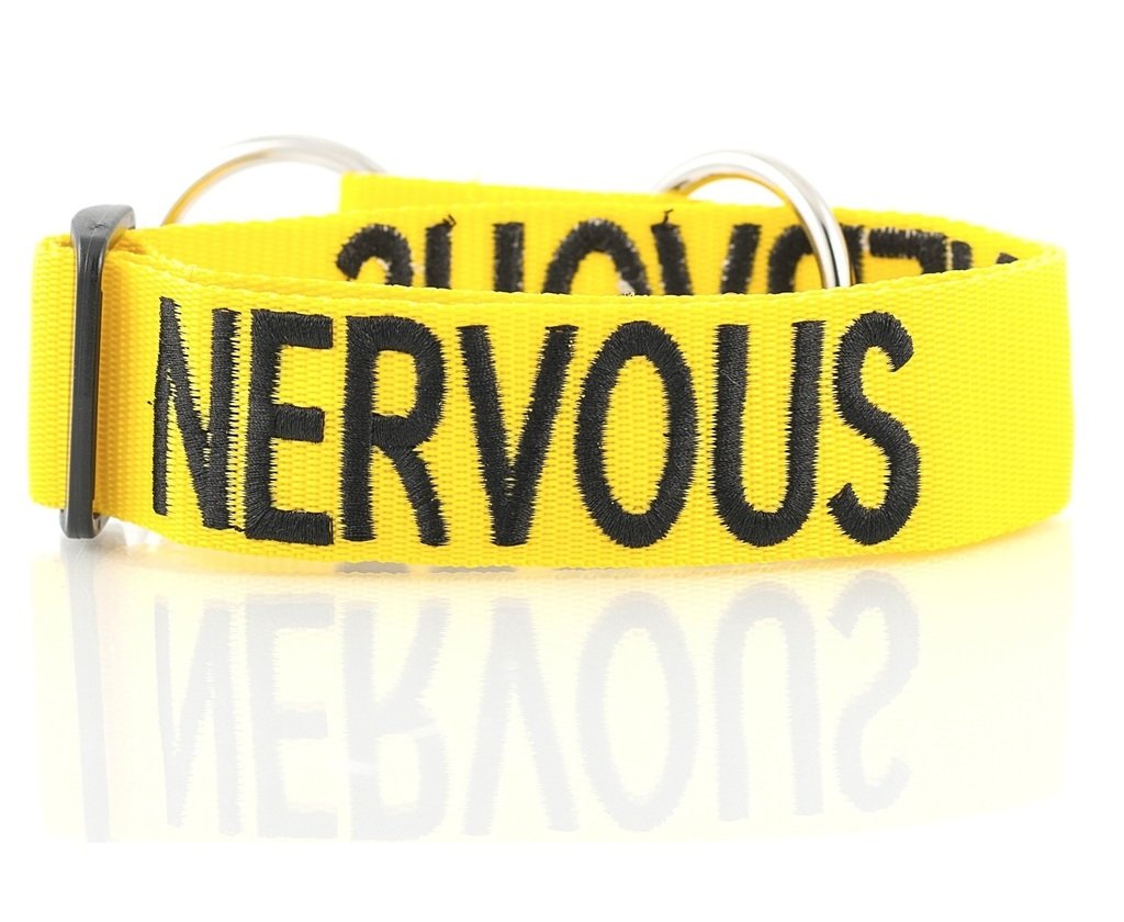 Dexil NERVOUS (Give Me Space) Yellow Colour Coded Wide L-XXL Semi-Check Dog Collar PREVENTS Accidents By Warning Others Of Your Dog In Advance — image 1