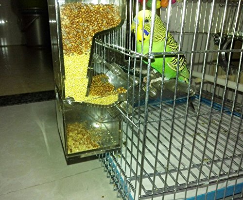 5 Evursua+Accessories+Budgerigar+Cockatiel+Parakeet
