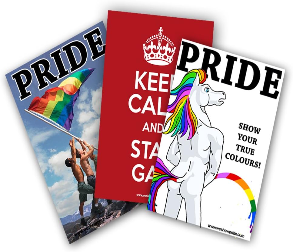 Gay Pride Fun LGBT Funny Poster Prints (Pack of 3) Amazon.co.uk