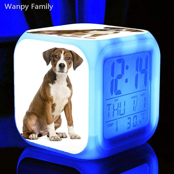 Very cute husky dog LED alarm clock 7 color luminous digital alarm
