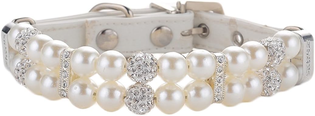 collare antiabbagliamento per cani di piccola taglia