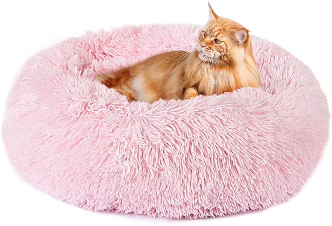 amazon marshmallow cat bed