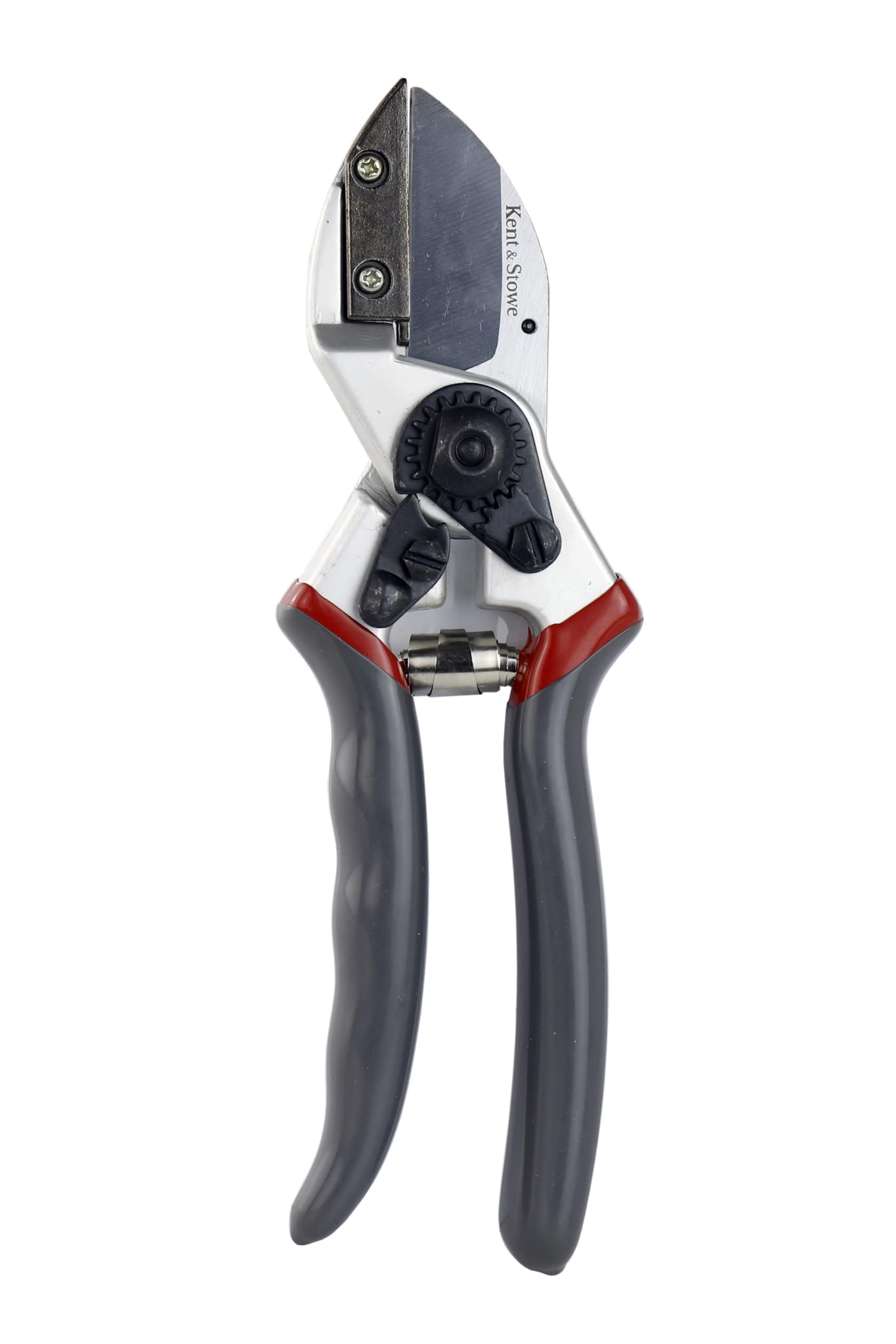 Kent and Stowe 70100463 8-Inch Anvil Secateurs