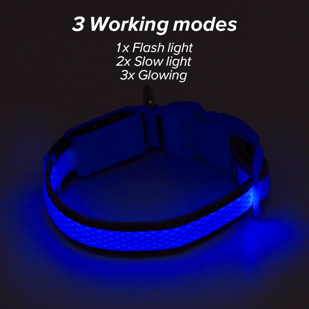Ezier LED Dog Collar, USB Rechargeable Glowing Led Pet Collars, Comfortable Mesh Reflective Light Up Collars for Large Dogs (L, Blue)