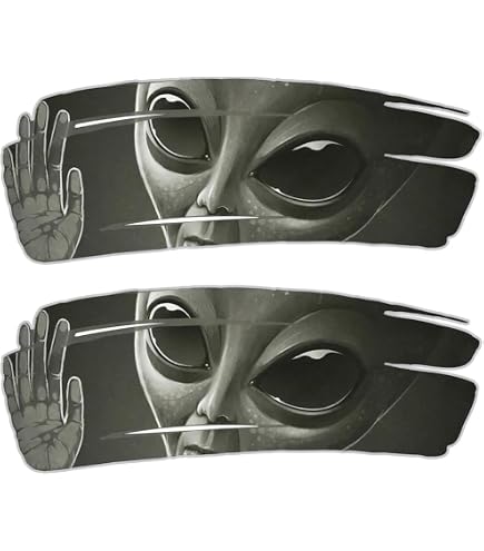 Amazon.com - Reflective Space Invaders Alien Black Window Outdoor