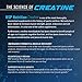 RSP Creatine Monohydrate - Pure Micronized Creatine Powder Supplement for Increased Strength, Muscle Recovery, and Performance for Men & Women, Unflavored, 500 grams