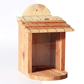 Amazon Com Nydzdm Wild Bird Feeder Bird Feeding Station Perfect