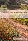 Livro Poesias do Caminhante - Volume 1