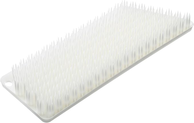 ティディ プラタワフォーバス