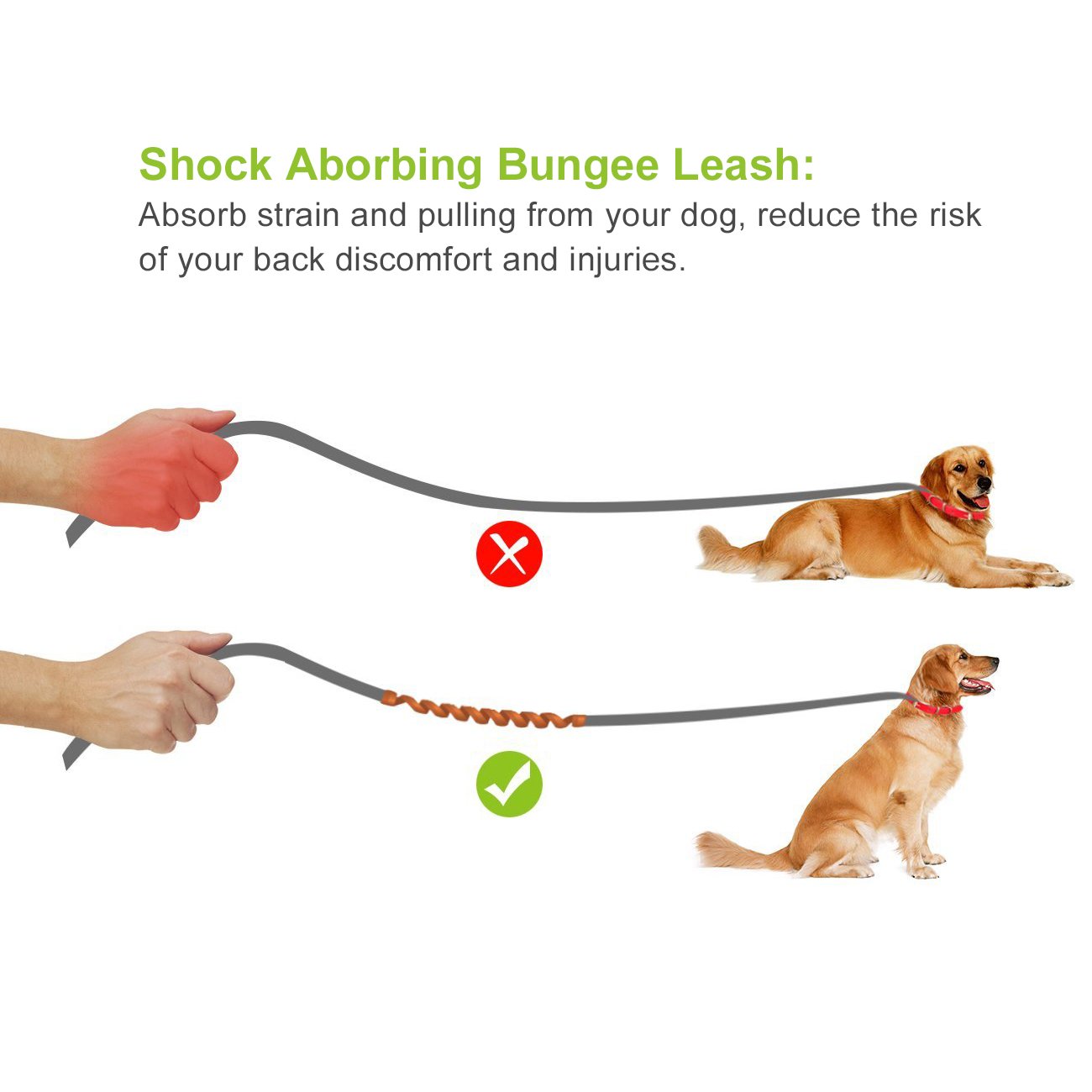 Roadwi Hands Free Dog Leash, Dual Handle Bungee Leash for Shock Absorbing, Adjustable Waist Belt with Storage Bag for Running, Hiking, Jogging or Walking (Green)