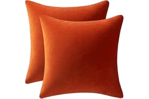 DEZENE Fall Couch Pillow Cases 18x18 Burnt Orange: 2 Pack Cozy Soft Velvet Square Throw Pillow Covers for Farmhouse Home Decor