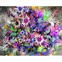 EOBROMD DIY 5D Diamond Painting by Number Kits, Full Drill Colorful Butterflies Crystal Rhinestone Embroidery Cross Stitch Kits Craft for Home Wall Decor 12x16inch