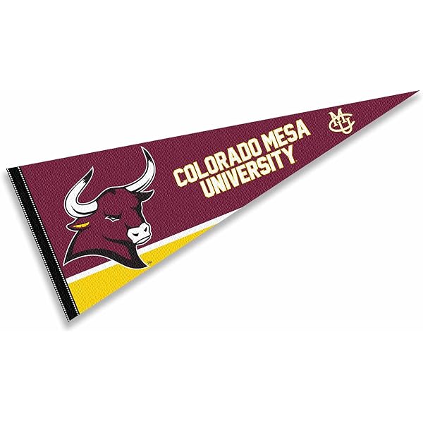 Colorado Mesa University Mavericks Lanyard – Detachable Breakaway Buckle, Keychain & ID Holder - View #9