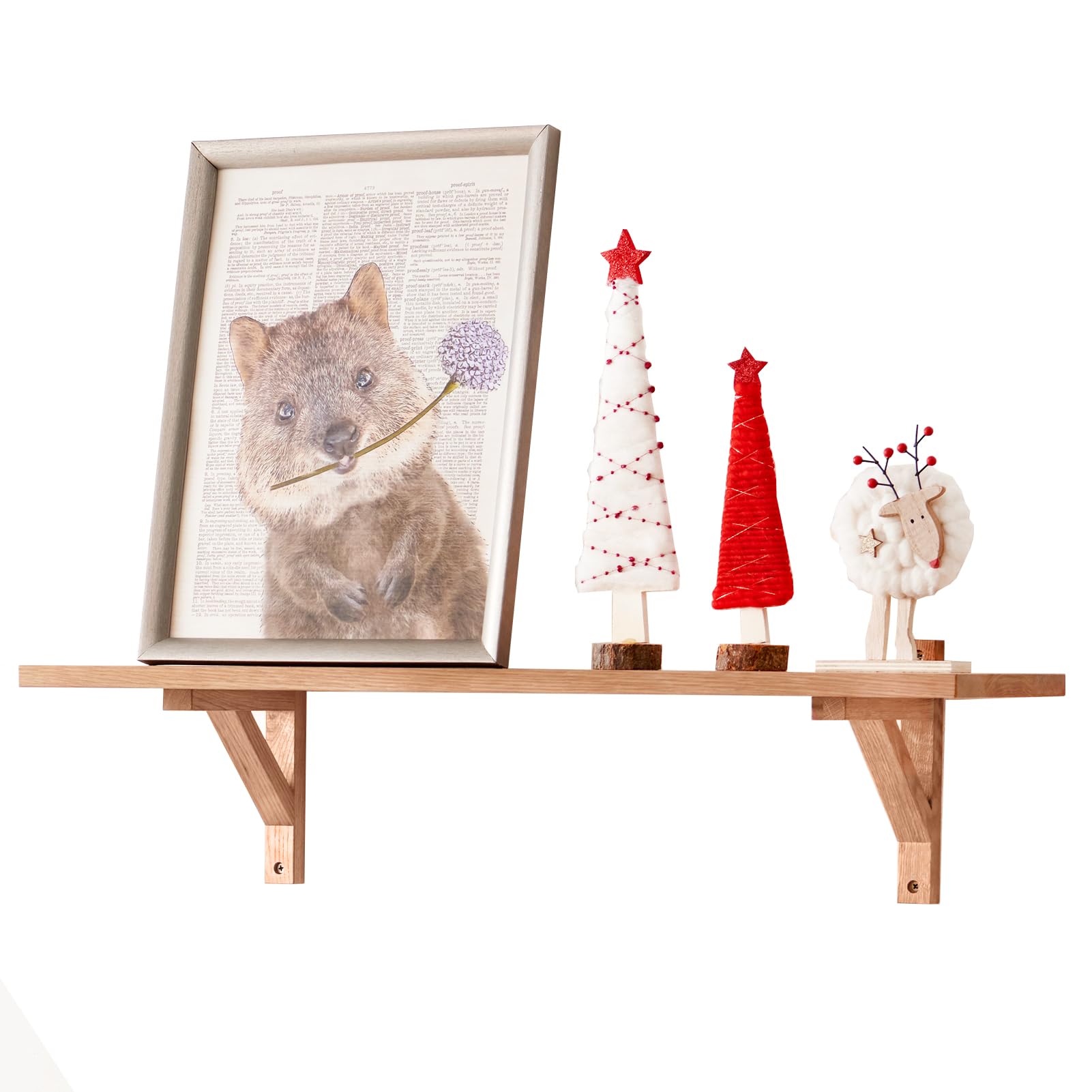 TREOAKWIS Solid Oak Wood Floating Shelf, Wooden Wall Shelf Rustic Wall Mounted Display Ledge for Magazine Living Room Bedroom Decor (60 CM)