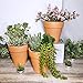 Winlyn 6 Pcs Large Terracotta Pot Clay Pots 5'' Clay Ceramic Pottery Planter Cactus Flower Pots Succulent Pot Drainage Hole- Great for Plants,Crafts,Wedding Favor