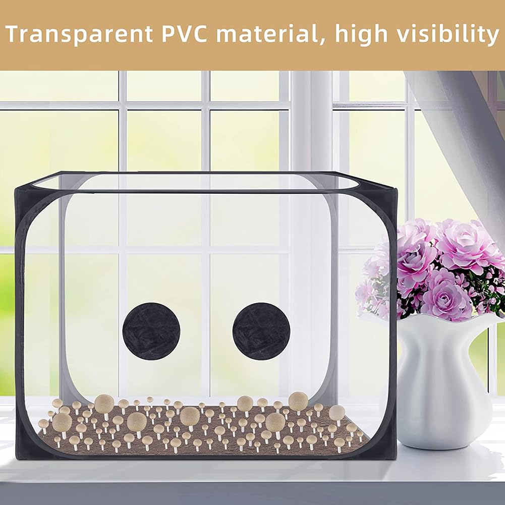 View 5