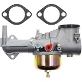 Carbhub 491590 Carburetor for Briggs & Stratton 491590 390811 392152 Carb Fits Briggs & Stratton 191700 192700 193700 Engine