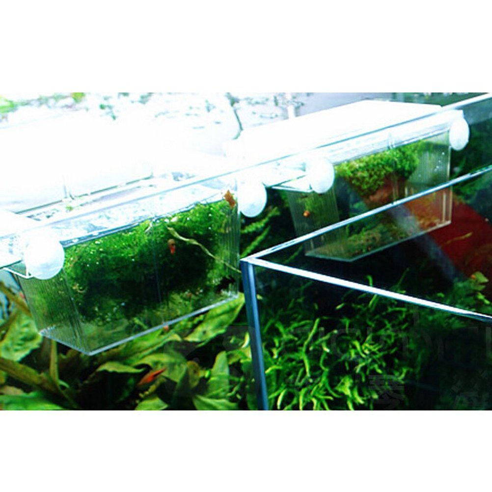 Baby Fish Aquarium Nursery Live Breeding Tank And Isolation Filter