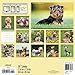 Yorkies 2017 Calendar: Includes Downloadable Wallpaper