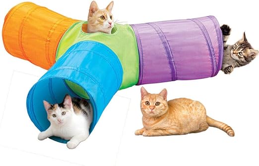 nutro large breed puppy