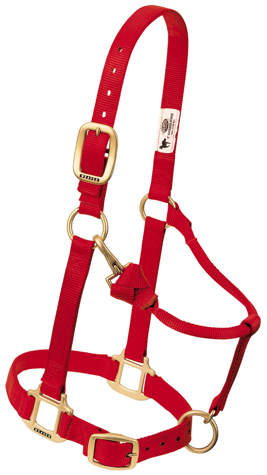 Weaver Leather Nylon Adjustable Draft Horse Halter, 1", Average, Red — image 1