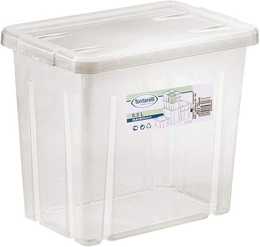 Tontarelli S2200481 Caja, Multicolor, 28.6 x 19 x 24.3 cm: Amazon.es: Hogar
