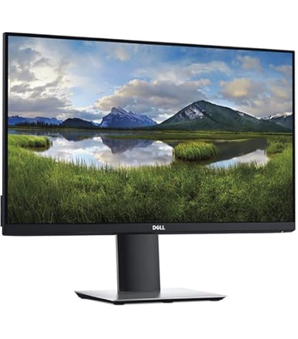 DELL 24インチ モニター P2419HC Amazon.com: Dell P2419HC - LED 顯示器- Full HD (1080P) - 24