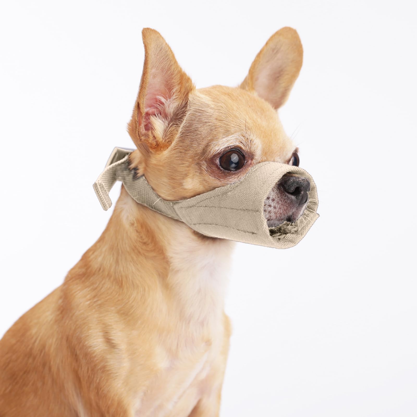 HYHIOTS Dog Muzzle for Small Dog, Short Snout Muzzles for Chihuahua Shih Tzu American Bully Boxer Puppy, Soft Anti Bark and Biting Muzzle for Medium Dogs for Grooming (Khaki, M)