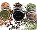 Gneiss Spice Everything Spice Kit: 24 Magnetic Jars Filled with Standard Organic Spices / Hanging Magnetic Spice Rack (Small Jars, Gold Lids)