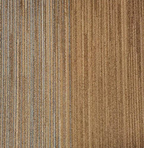 Shaw Oscar Carpet Tile-24"x 24"(12 tiles/case, 48 sq. ft./case)