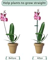 MEEYUU 20Pcs Plant Stakes 60cm Support Sticks for Indoor Outdoor Plants view 4