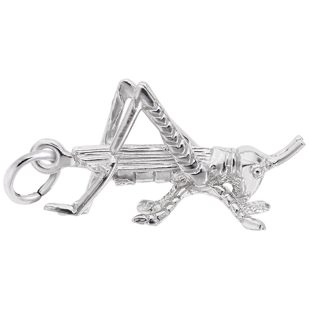 Amazon Com Sterling Silver Grasshopper Charm Baxley Jewelry Handmade