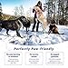 Green Gobbler Pet Safe Ice Melt Effective to -15° Fahrenheit | 35lb Pail | Fast Acting Treatment | Magnesium Chloride Ice Melt Pellets | No Concrete Damage