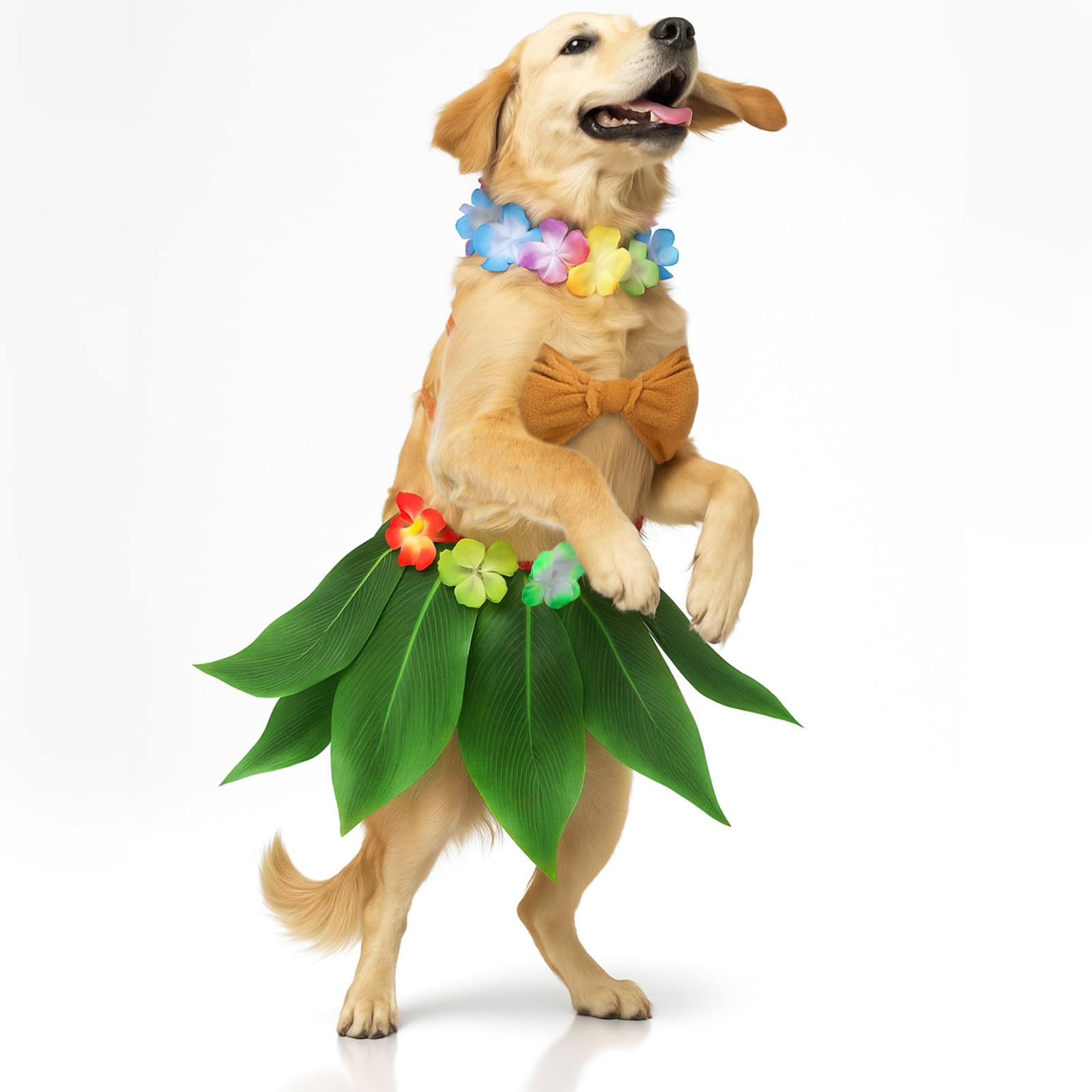 Photo 1 of Huhumy 3 Pcs Halloween Dog Hawaiian Luau Costume Includes Hula Dress Bikini Top Flower Lei Boho Neck for Small Medium Dogs Puppy Outfit Pet Accessories Halloween Cosplay Supply