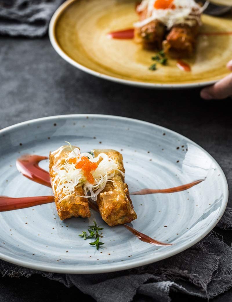 StudionFun Vajilla de cerámica nórdica, Disco de Porcelana, Plato ...