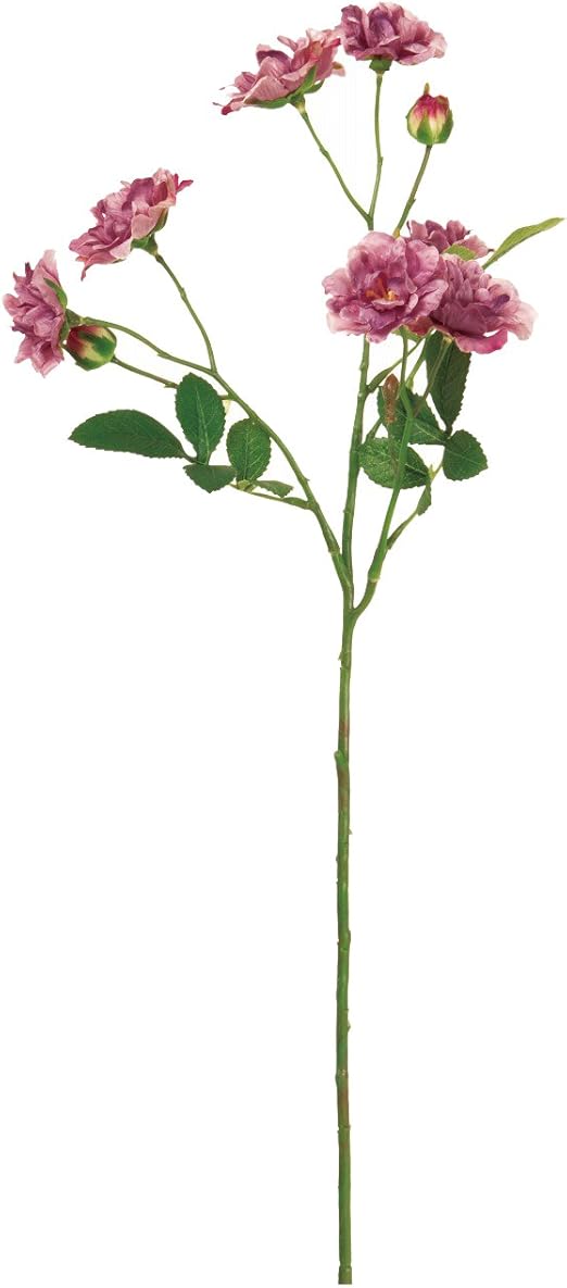 Amazon Co Jp 東京堂 造花 ライラックラベンダー Magiqブランド バンクシアローズ Fm 011 ホーム キッチン