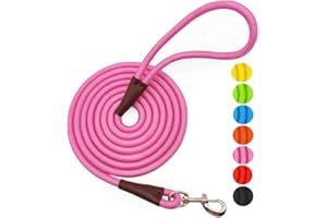 MayPaw 4 FT/6 FT/8 FT/10 FT Dog Leash, Classic Solid Colors, Strong Nylon Rope Dog Leash Reinforced with Leather Tailor Connection Heavy Duty Silver Clasp (6 ft*1/2", Pink)