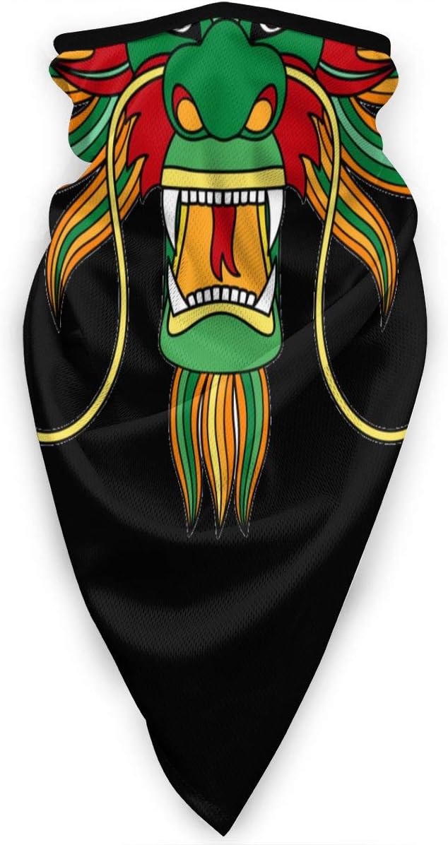Windproof Stretchable Face Mask Neck Warmer Scarf Chinese Dragon Head Headwear Half Face Cover Magic Headband for Winter Sports Outdoor Activitie