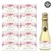 Wedding Party Mini Champagne Bottle Labels, Set of 10 Elegant Bride Proposal Stickers Asking Family, Best Friends Will You Be My Bridesmaid, Maid Matron of Honor? Gift Bag, Box, Mini Wine Bottle Label