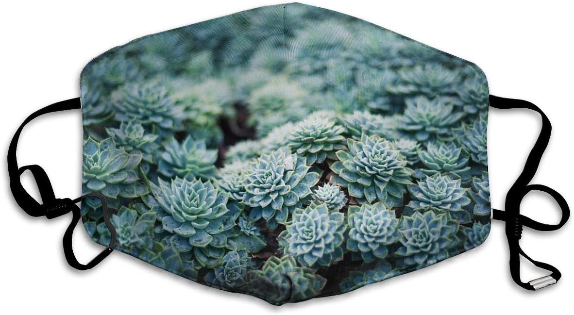 Macro Photos from Insects, Nature and Unisex Face Mouth, Washable Reusable Anti Dust Face for Cycling Camping Travel - Protection from Dust, Pollen, Pet Dander, Other Airborne Irritants