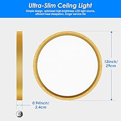 Peasur 12 Inch LED Ceiling Light Gold, 24W Slim