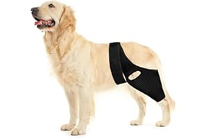 Dog Leg Hip Knee Brace - Huimpet Dog ACL Brace for Front Torn and Back Hind Rear Leg ACL Tear, Dog Leg Brace for Hip Dysplasia, Dog Arthritis and Luxating Patella, Comfortable and Adjustable (L Size)
