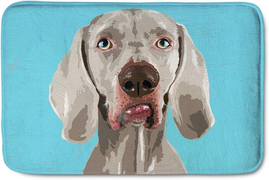 SANNOVO Comfortable Weimaraner Carpet Flannel Long Doormat Bathroom Grey Rug Water Absorbent Mat Machine Washable