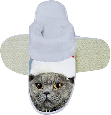 grumpy cat slippers